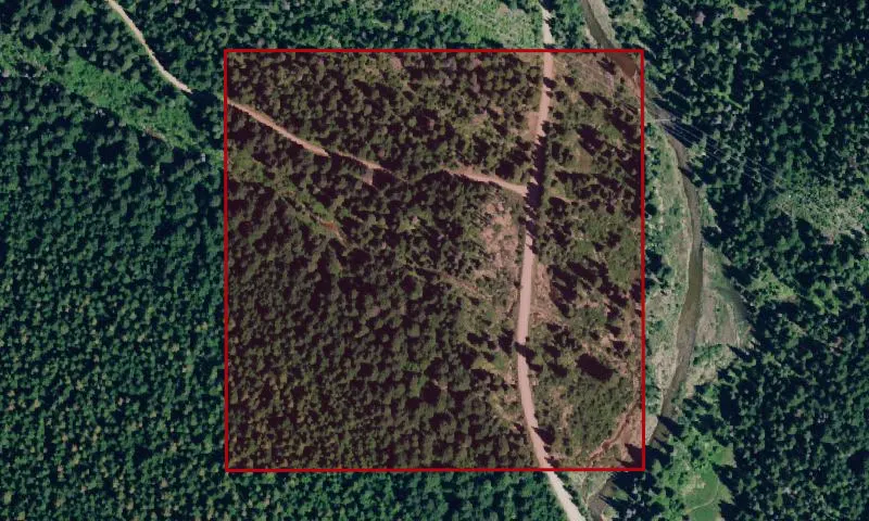 Nicholas Creek Campground Recreation Area
