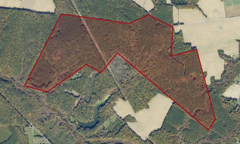 Chilton Woods State Forest