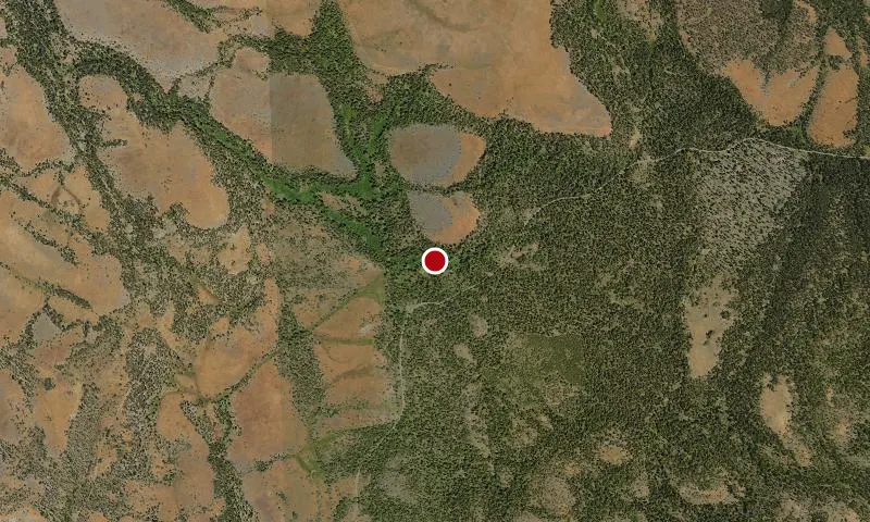 Ochoco NF - FS