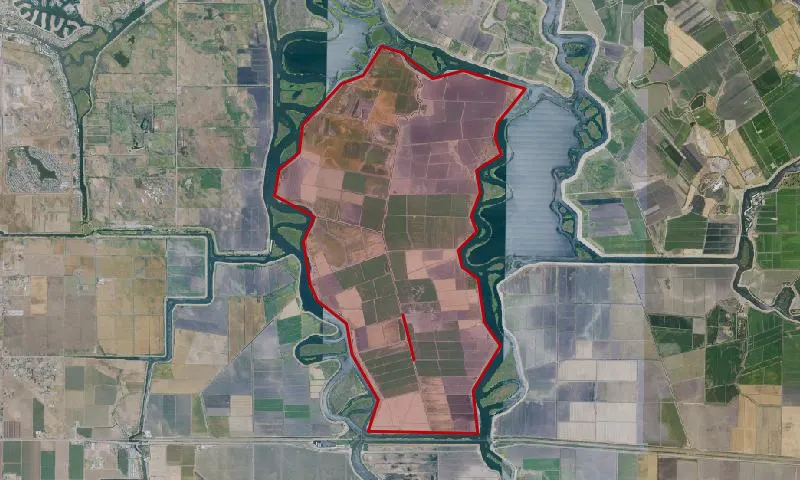 Bacon Island