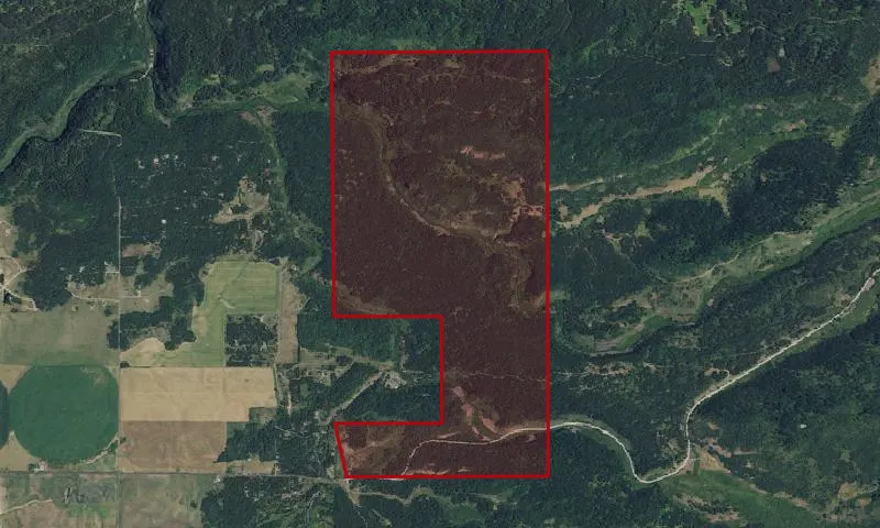 Lodgepole Pine Thinning Plots, Plo 993 Experimental Forest