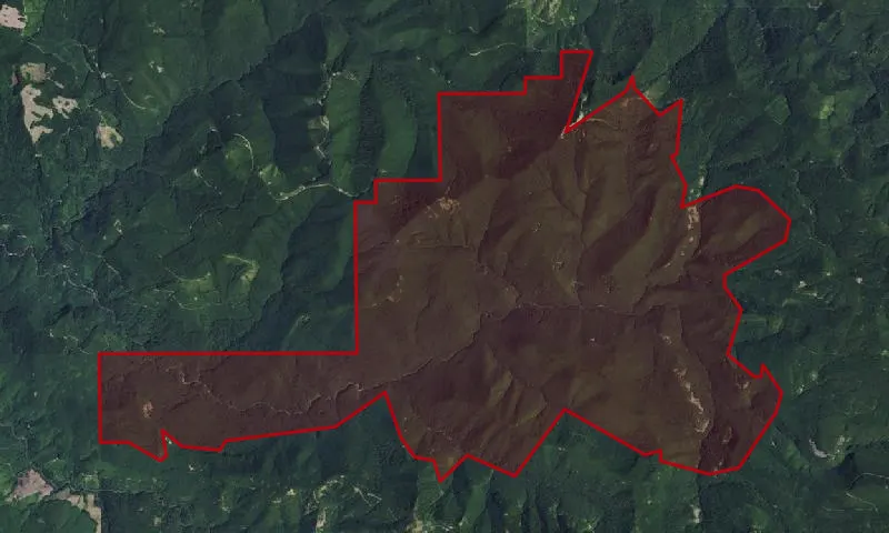 Siouxon Roadless Area