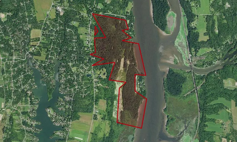 Vosburgh Swamp Wma