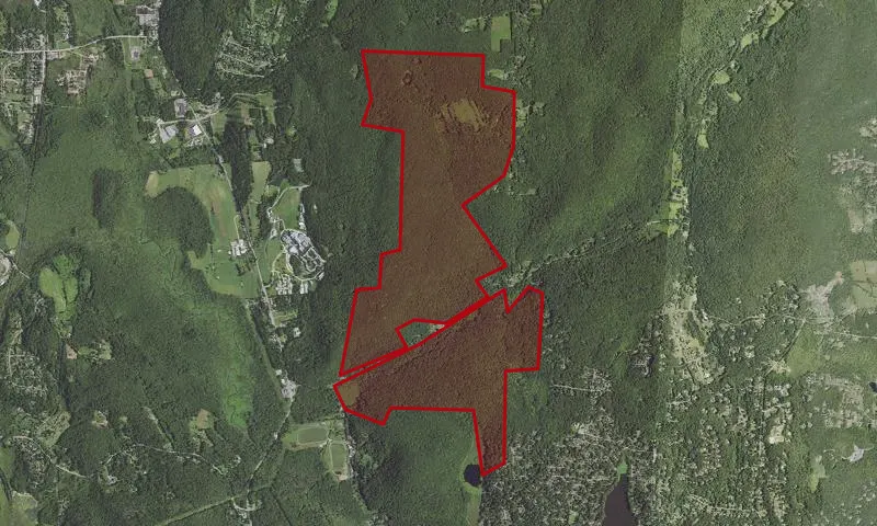 Cranberry Mountain Wma