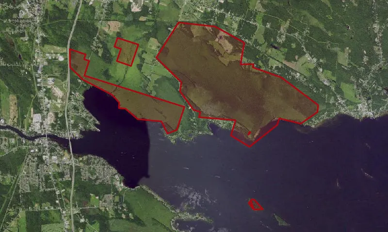 Three Mile Bay Wma