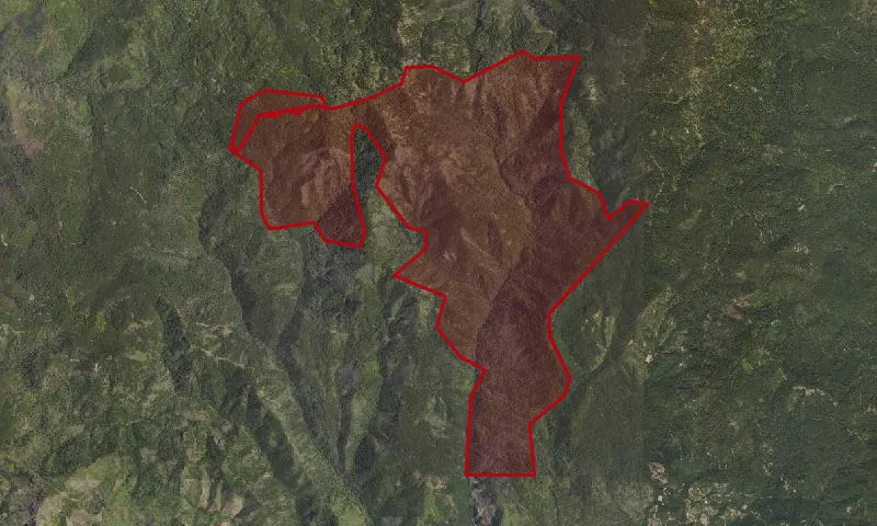 Bitter Lick Roadless Area