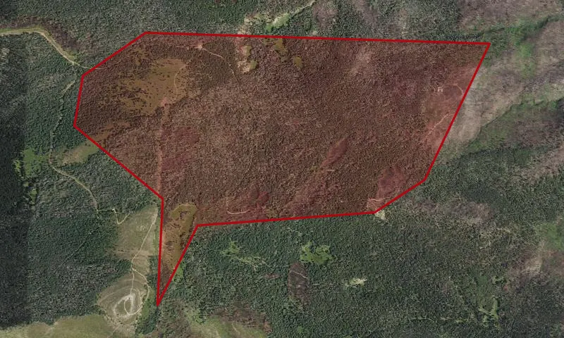 Wesner Spring Roadless Area