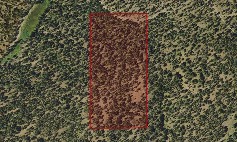 Bark Beetle Hazard Plots, Herberger Corral Experimental Research Area