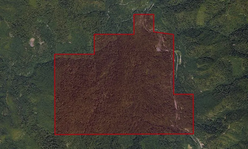 Port Orford Experimental Forest