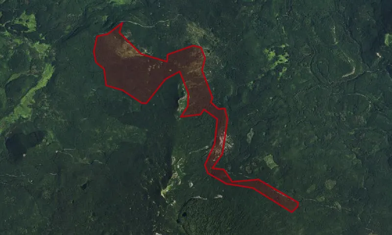 Red Lake Roadless Area