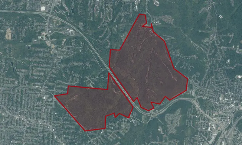 Mt. Airy Forest