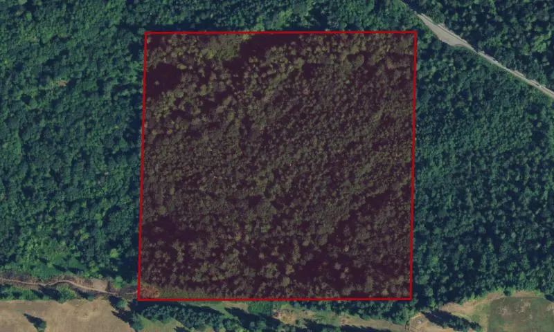 Bass Lake Complex Natural Area 6