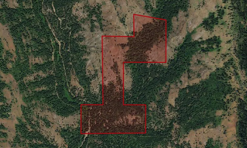 Spring Creek Campground Recreation Area
