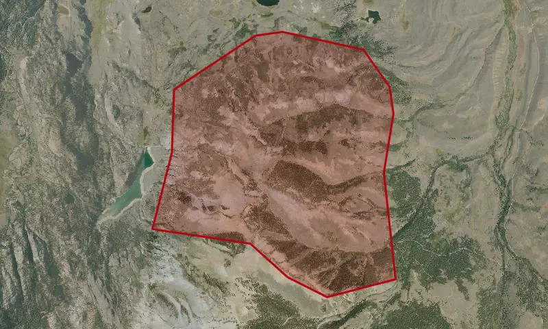Pickel Hill Management Area Special Designated Area