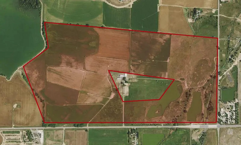 Canino 7M Ranch