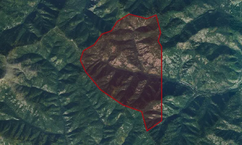 West Fork Elk Roadless Area
