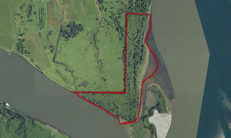 Julia Butler Hansen Refuge For The Columbian White-Tailed Deer Research Natural Area