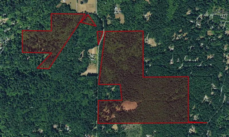 Frog Holler Forest