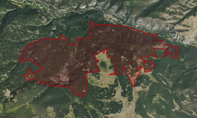 Alamosa River Roadless Area
