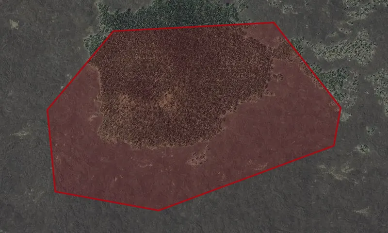 Timbered Cinder Cone Roadless Area