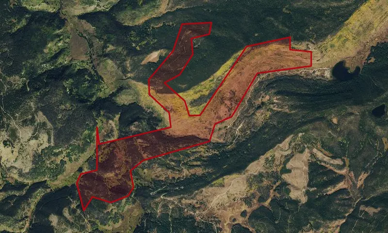 Freeman Creek Roadless Area