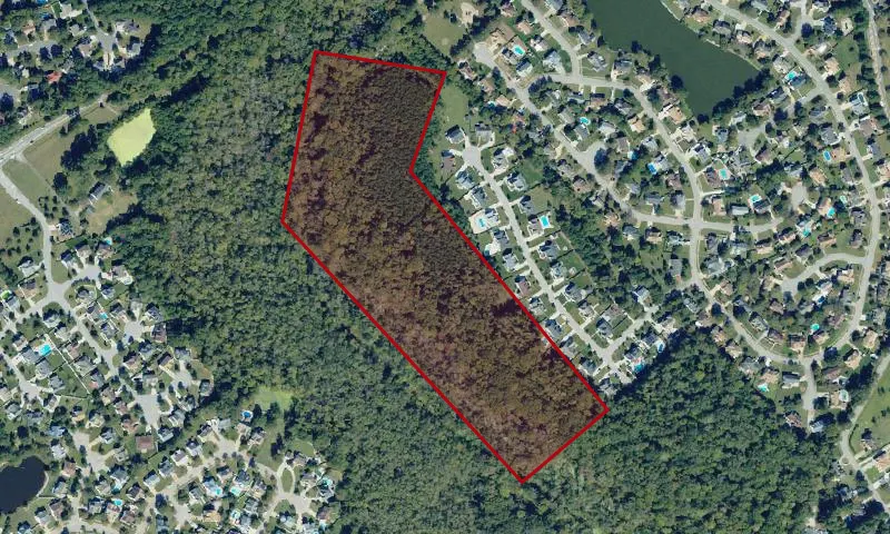 Bellwood Forest