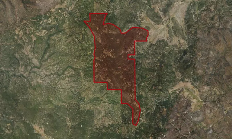 Coleman Rim Roadless Area