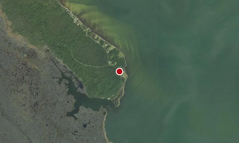 Cedar Island National Wildlife Refuge