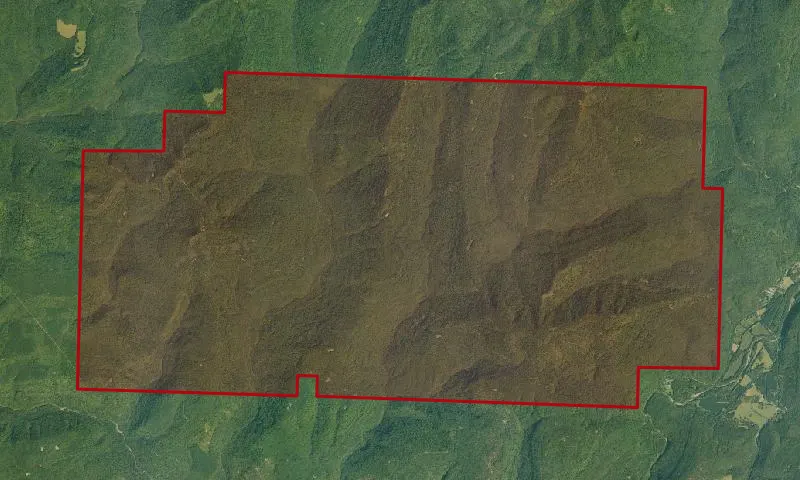 Black Mountain National Game Refuge