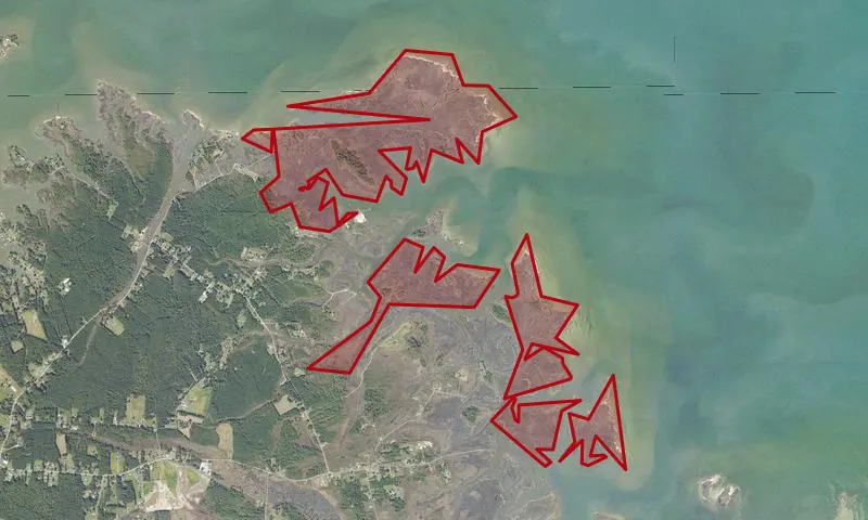 Guinea Marsh