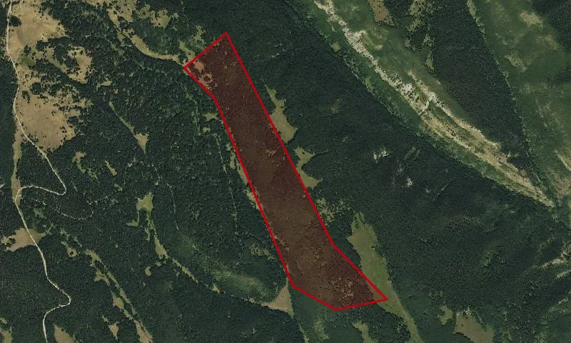 Willow Creek Roadless Area