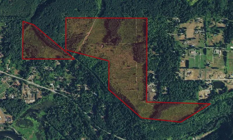 Tokul Creek Forest