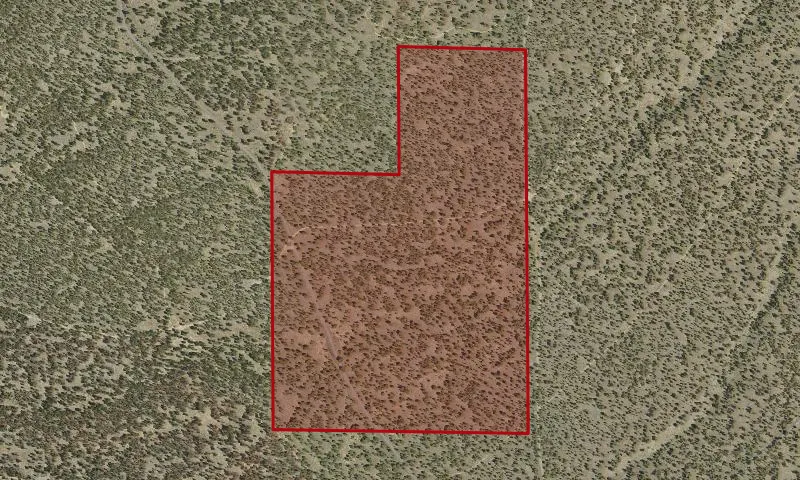 Harvest Cutting Plots 1-4 Experimental Research Area