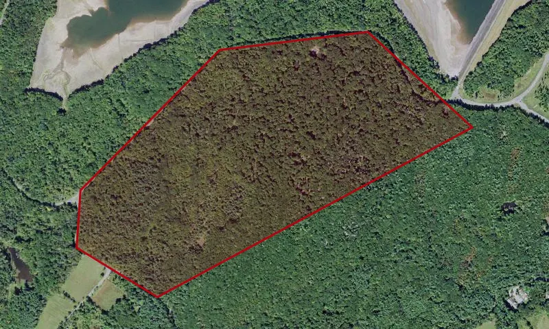 Acorn Hill