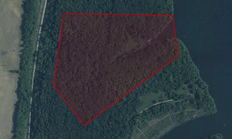 Crabill Fen