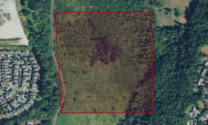 Evans Creek Natural Area