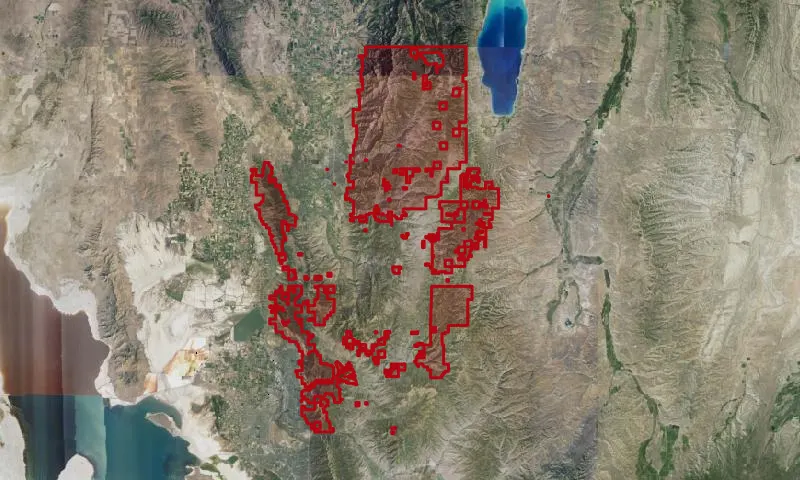 Cache National Forest