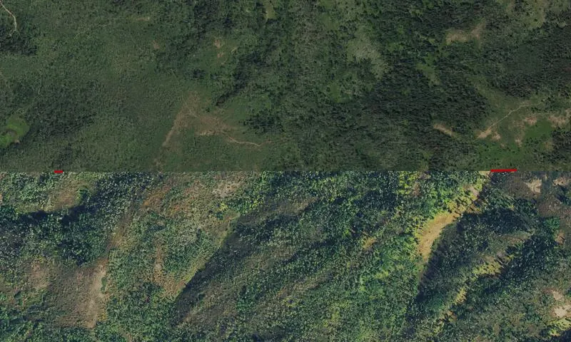 Elkhorn Roadless Area