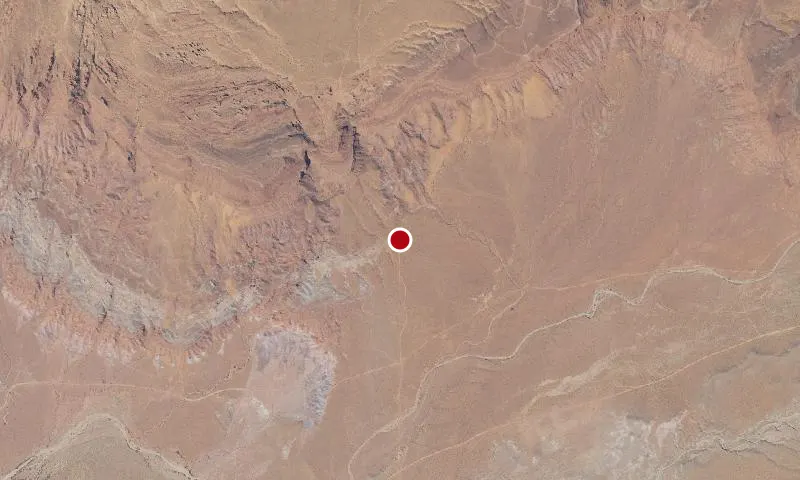 Therapod