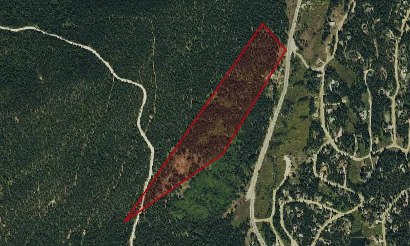 Quandary Peak Trailhead Claims