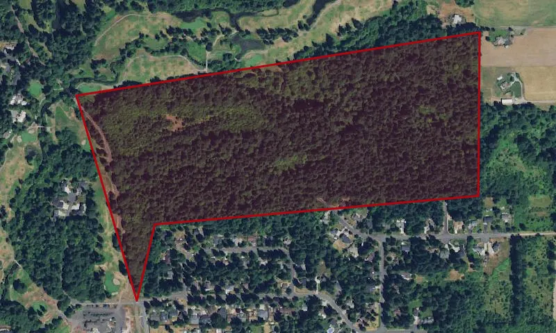 Salmon-Morgan Creeks Natural Area