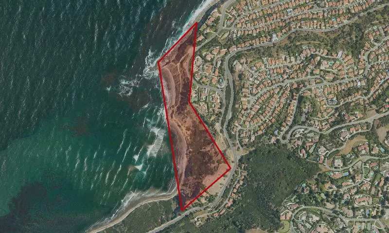 Bluff Cove