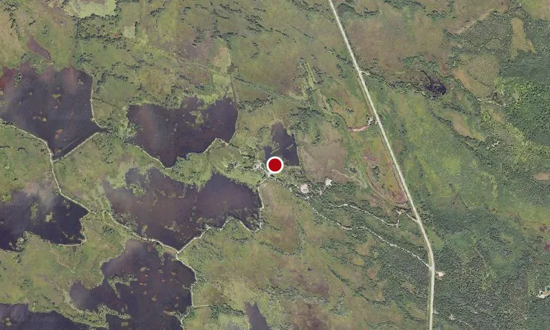 Kirtlands Warbler Wildlife Management Area