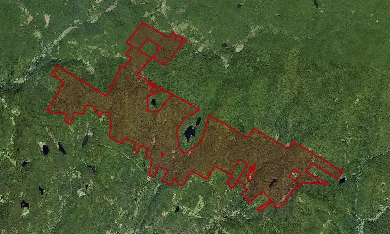 Willowemoc Wild Forest