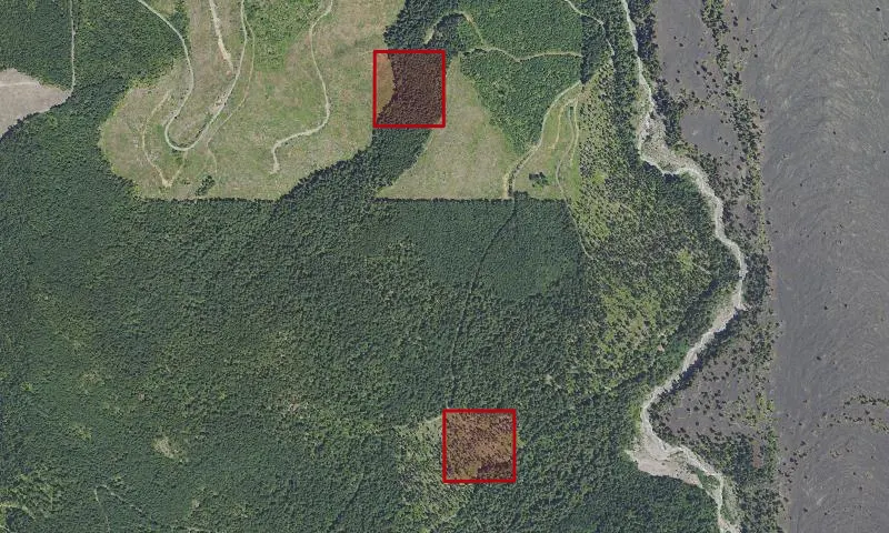 Parkdale Logging Experimental Research Area