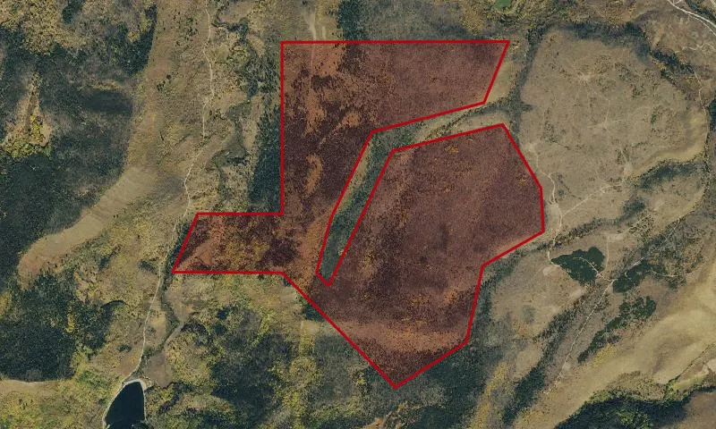 Black Lake East Roadless Area