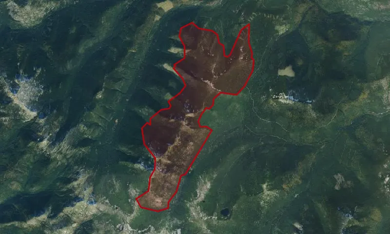 Saddle Mountain Roadless Area