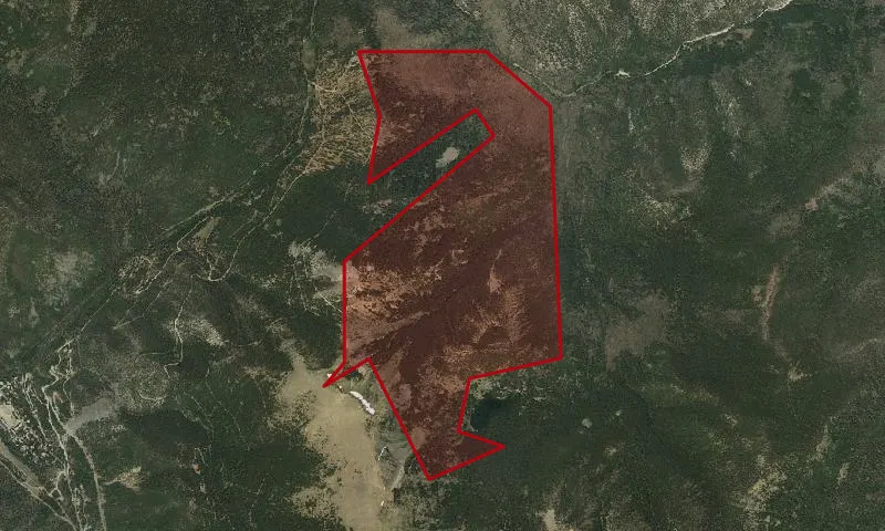 Bull - Of - The - Woods Roadless Area