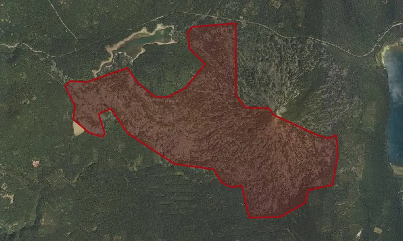 Brown Mountain Roadless Area