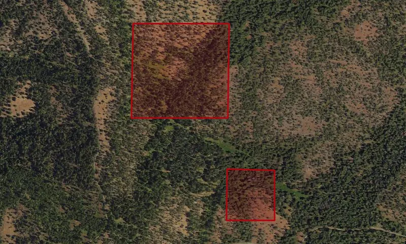 Bark Beetle Hazard Plots, Rudio Mountain Experimental Research Area